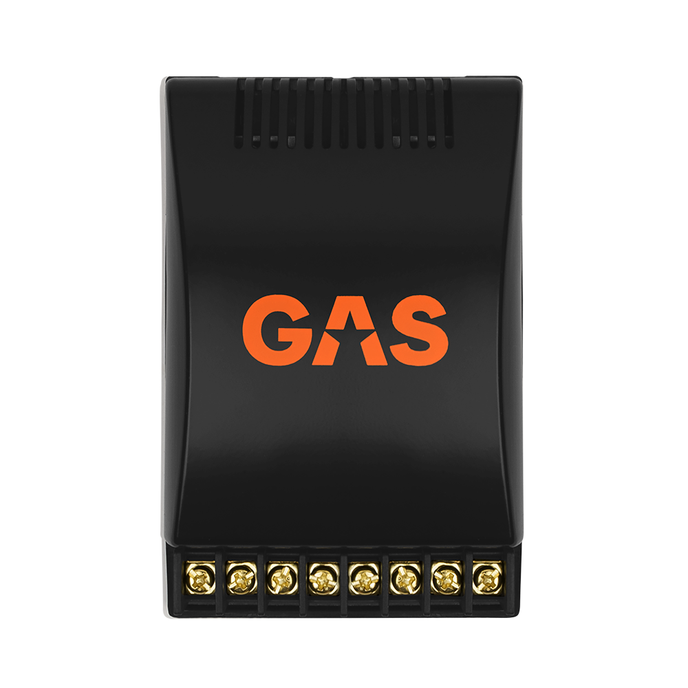 GAS MAD Level 1 2-Way Crossover